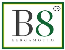 logo b8