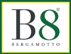 logo b8