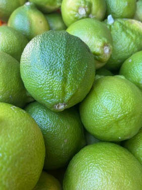 Immagine WhatsApp 2025-10-20 ore 19.26.23_6d206d36.jpg